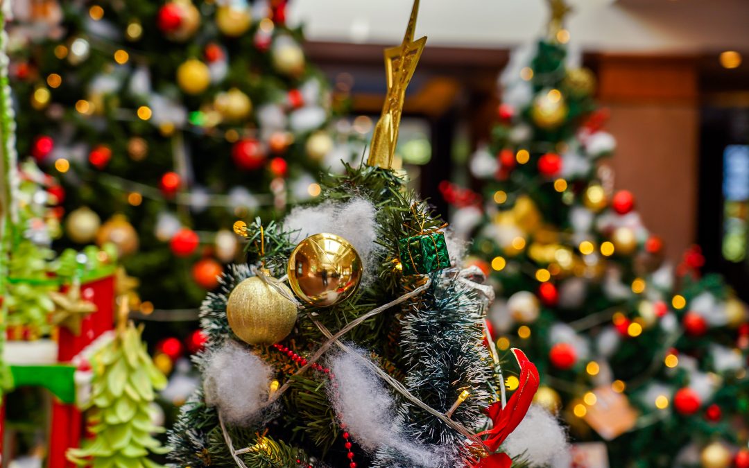 Ambrosia’s Automotive has you covered this holiday